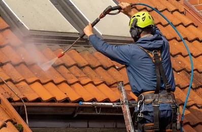 Démoussage et hydrofuge de toiture à Araux